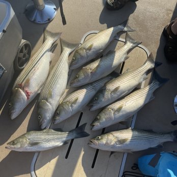 Jacob’s Striper guide service - Fishing Near Me