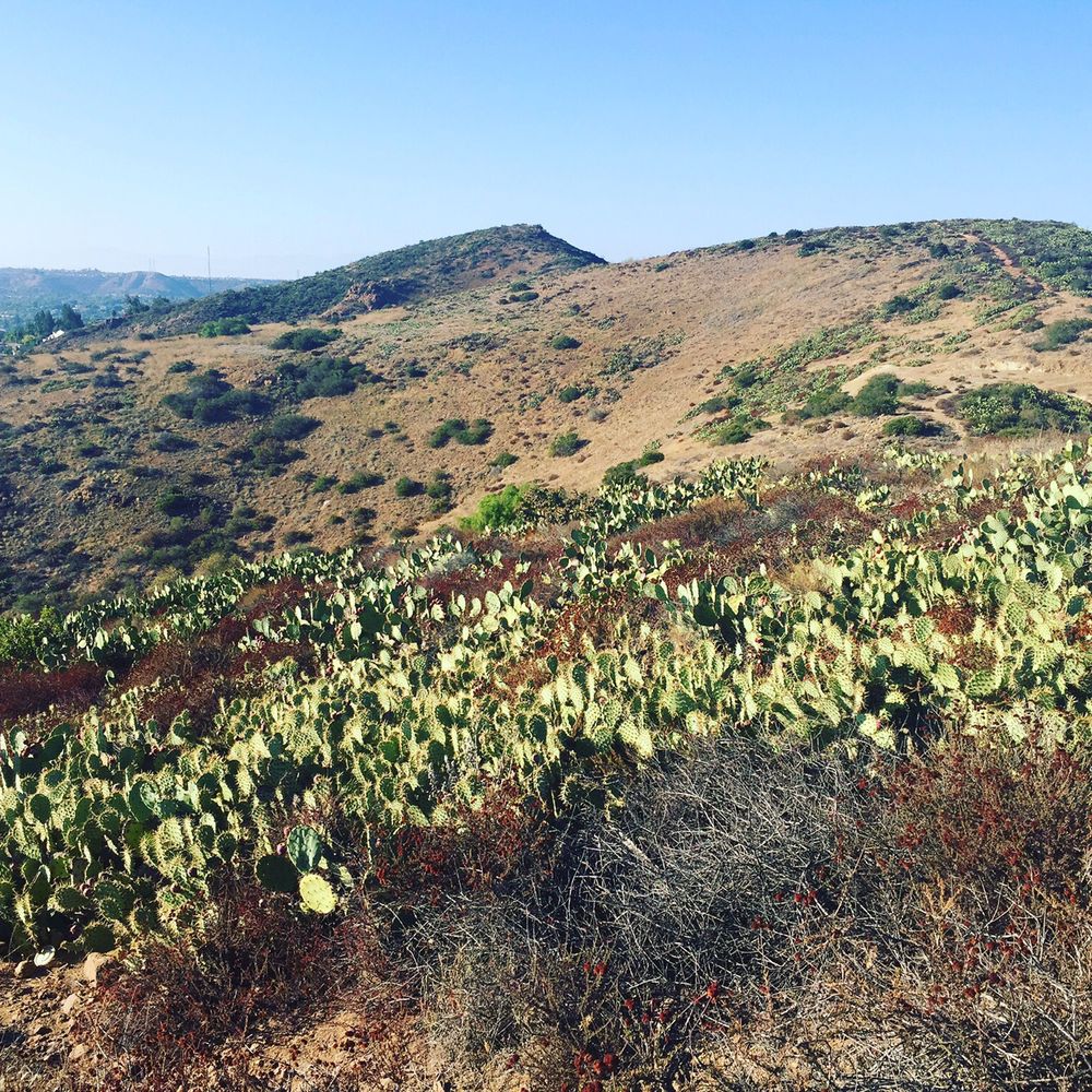 El Modena Open Space - Hiking Near Me - Orange, California El Modena Open Space - Hiking Near Me - Orange, California