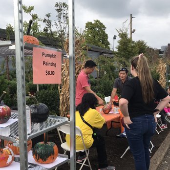 Garden World - Pricy $8 pumpkin painting - Nurseries & Gardening Near Me - Flushing, New York Garden World - Pricy $8 pumpkin painting - Nurseries & Gardening Near Me - Flushing, New York