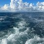 Photo of Top Shot Sportfishing Charters
