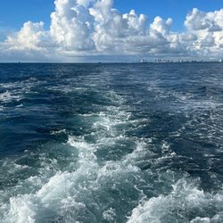 Top Shot Sportfishing Charters - The sea is calling!