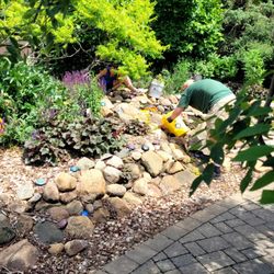 Cedar Valley Arboretum & Botanic Gardens - Weeding the Waterfall