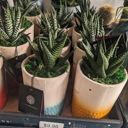 Lowe's Home Improvement