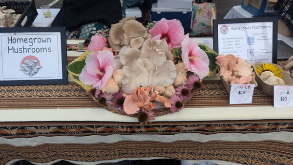 Northeast Minneapolis Farmers Market by null