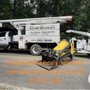 Photo of Stump Busters Tree Service