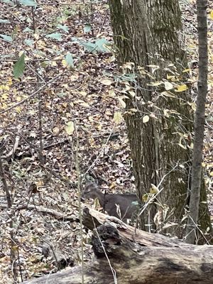 Warner Parks by null