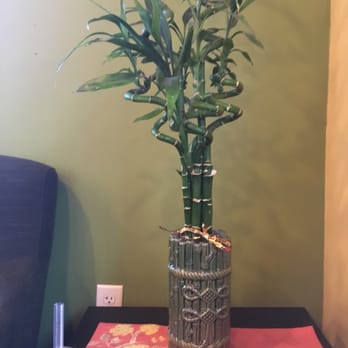 Bambu Desserts & Drinks - Real bamboo here at bambu - Juice Bars & Smoothies Near Me - Sunnyvale, California Bambu Desserts & Drinks - Real bamboo here at bambu - Juice Bars & Smoothies Near Me - Sunnyvale, California