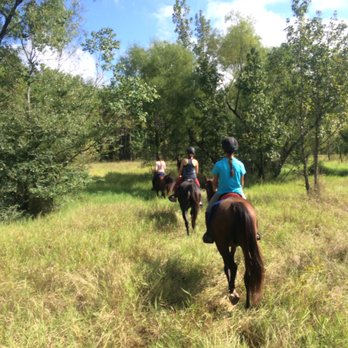 Sugar Land Stables - Hauling out to Endurance train - Horseback Riding Near Me - Sugar Land, Texas