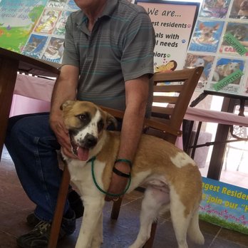 Nevada SPCA - Meeting sweet Nadia - Animal Shelters Near Me - Las Vegas, Nevada Nevada SPCA - Meeting sweet Nadia - Animal Shelters Near Me - Las Vegas, Nevada