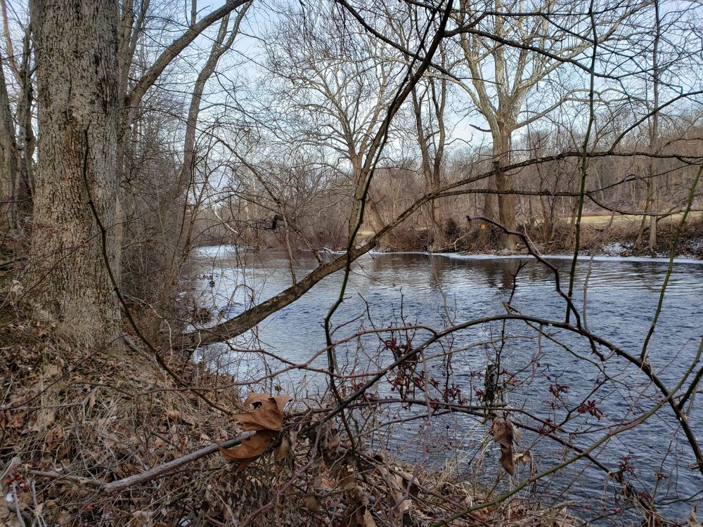 BOWER PARK Updated June 2024 21 Photos 3 Ravine Rd, Pleasant