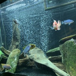 Milbys Aquarium Maintenance Service