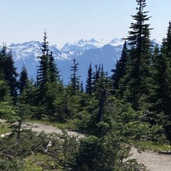 Hurricane Ridge Visitor Center