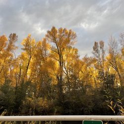 Sky Mountain Resort RV Park