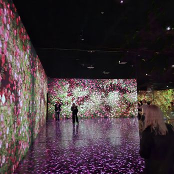 Arte Museum - Art Museums Near Me - New York, New York