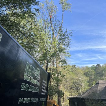 AAA Tree Experts - All of the guys. - Tree Services Near Me - Roswell, Georgia