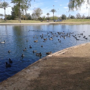 Freestone Park - Parks Near Me - Gilbert, Arizona