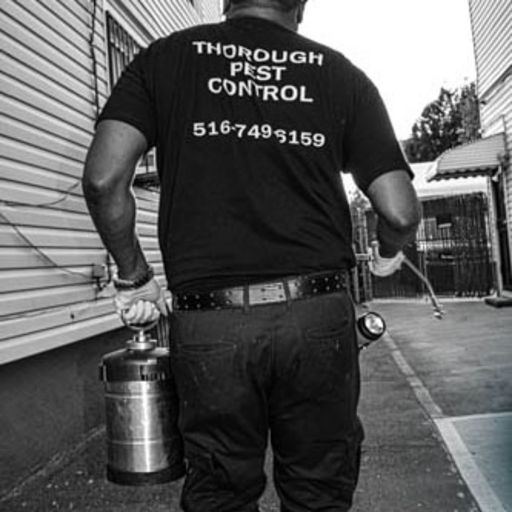 THOROUGH PEST CONTROL 1 Updated March 2024 Jamaica, New York Pest