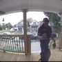 Photo of Intense Pest Control