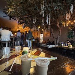 Kava Collective