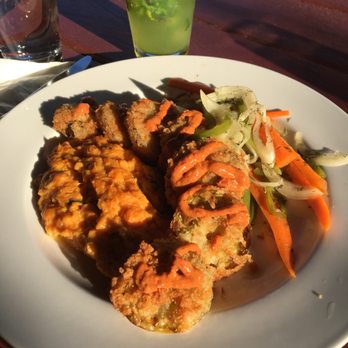 Tasty Harmony - Vegan Near Me - Fort Collins, Colorado Tasty Harmony - Vegan Near Me - Fort Collins, Colorado
