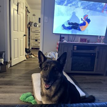 Dog On Fun - Hazel Grace - Pet Sitting Near Me - Covina, California