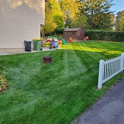 Riley Tree & Landscaping - Fertilization and Weed Control for Turf