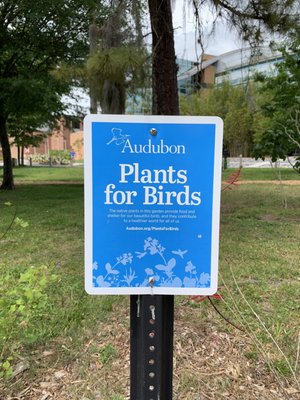 UCF Arboretum by null