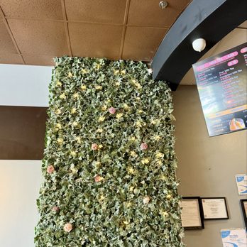 Milk Tea Cafe - Indoor decor - Taiwanese Near Me - Kissimmee, Florida Milk Tea Cafe - Indoor decor - Taiwanese Near Me - Kissimmee, Florida