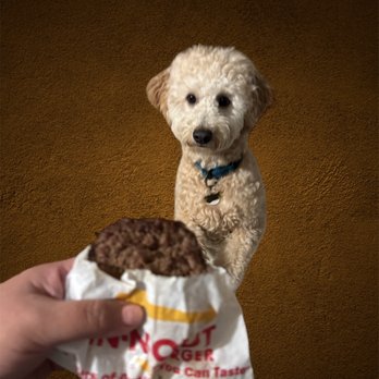 In-N-Out Burger - Puppy Patty - Fast Food Near Me - Seal Beach, California In-N-Out Burger - Puppy Patty - Fast Food Near Me - Seal Beach, California