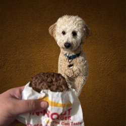 In-N-Out Burger - Puppy Patty