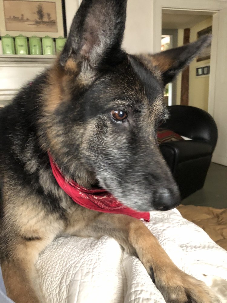 ATHENS ORTHOPEDIC CLINIC OCCUPATIONAL HEALTH Updated September 2024