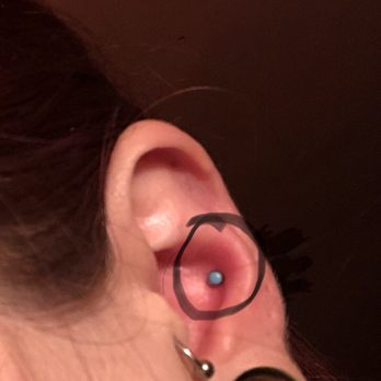 Haven Body Arts - Conch piercing - Piercing Near Me - Northampton, Massachusetts Haven Body Arts - Conch piercing - Piercing Near Me - Northampton, Massachusetts