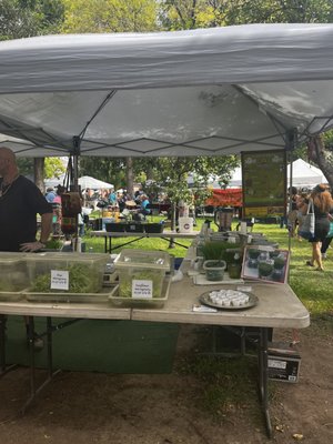 Downtown Growers' Market by null