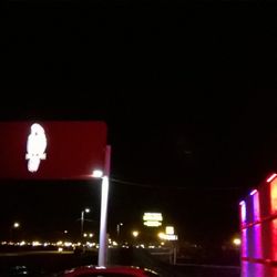 The Red Parrot