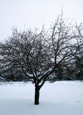 Quechee Gorge Village by null