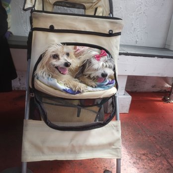 The Bridge Cafe - Dog friendly - Breakfast & Brunch Near Me - Delray Beach, Florida The Bridge Cafe - Dog friendly - Breakfast & Brunch Near Me - Delray Beach, Florida