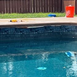 Luna’s Oasis