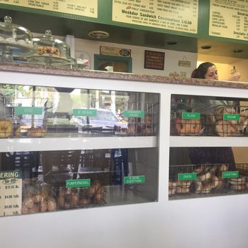 The Bagel Express - Bagels fresh everyday not made with powered yeast - Bagels Near Me - Kendall, Florida The Bagel Express - Bagels fresh everyday not made with powered yeast - Bagels Near Me - Kendall, Florida