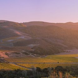 Sanford Winery