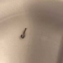 Metal in food