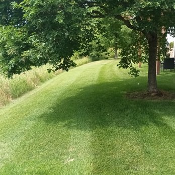 Gassen Management - If you are 2 feet tall maybe you can walk in your back yard. - Property Management Near Me - Eden Prairie, Minnesota Gassen Management - If you are 2 feet tall maybe you can walk in your back yard. - Property Management Near Me - Eden Prairie, Minnesota