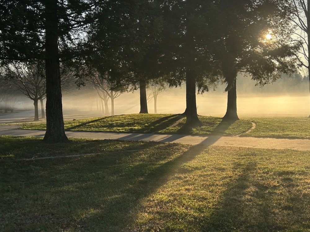 MANUEL J BARANDAS PARK Updated August 2024 26 Photos 2805
