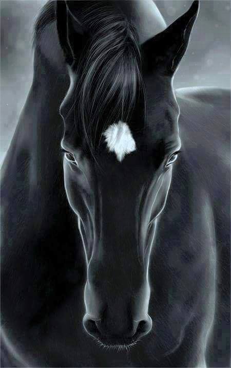 V Blakeman Psychotherapy - grief counselor in Hillsborough, NJ