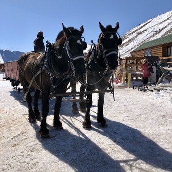 National Elk Refuge Sleigh Rides - Parks Near Me - Jackson, Wyoming National Elk Refuge Sleigh Rides - Parks Near Me - Jackson, Wyoming