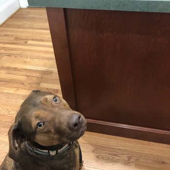 Family Veterinary Clinic - Lola happy at her vet appt! - Veterinarians Near Me - Gambrills, Maryland