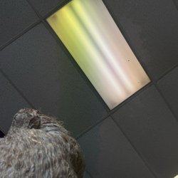 4 Seasons Dominican Hair Salon - Hair dye