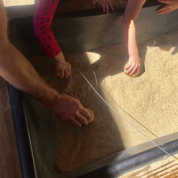 Big Bear Discovery Center - Making animal footprints 9/30/17 - Hiking Near Me - Fawnskin, California Big Bear Discovery Center - Making animal footprints 9/30/17 - Hiking Near Me - Fawnskin, California