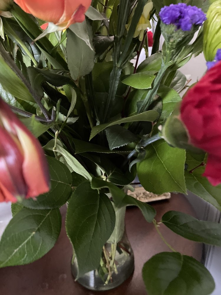 Photos of 1800FLOWERS SAN ANTONIO Updated August 2024 45 Photos & 51 Reviews 7117