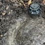 Photo of Lawn Systems