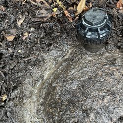 Lawn Systems - Leak around sprinkler head